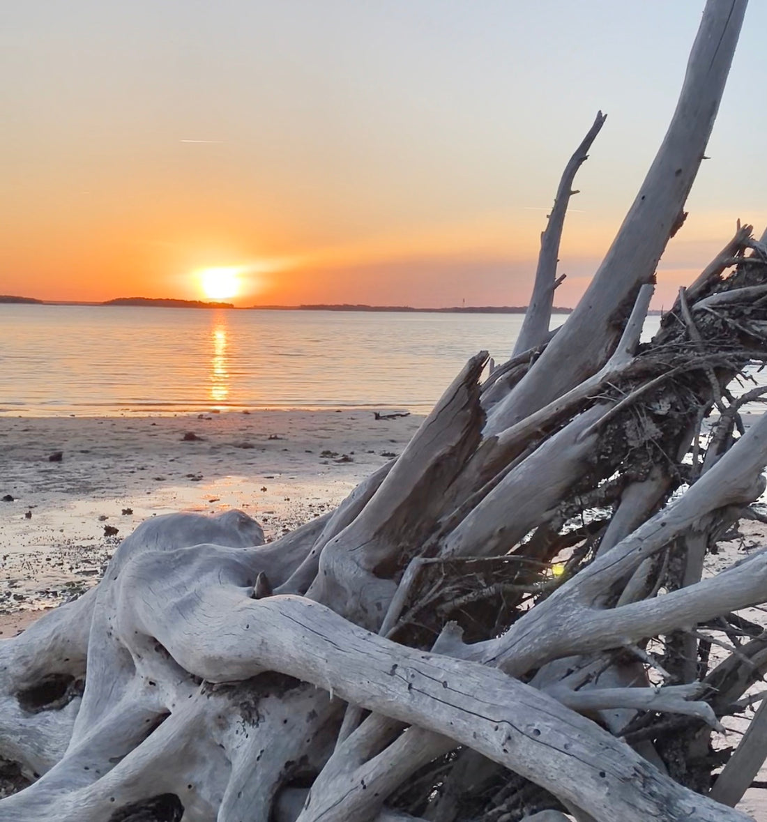 Sunrises and Sunsets can improve your mood