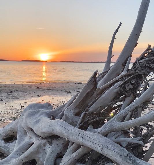 Sunrises and Sunsets can improve your mood