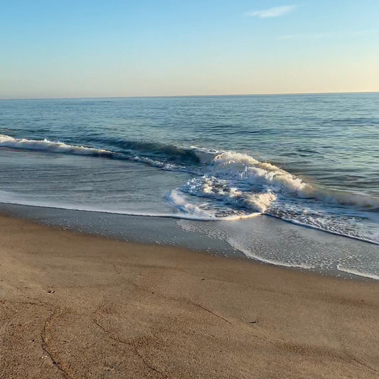 The beach is calling 