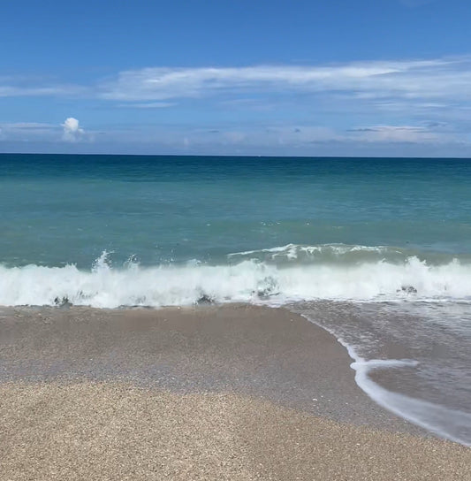 Beach safety tips for families and ocean lovers, staying safe at the beach on Amelia Island Florida
