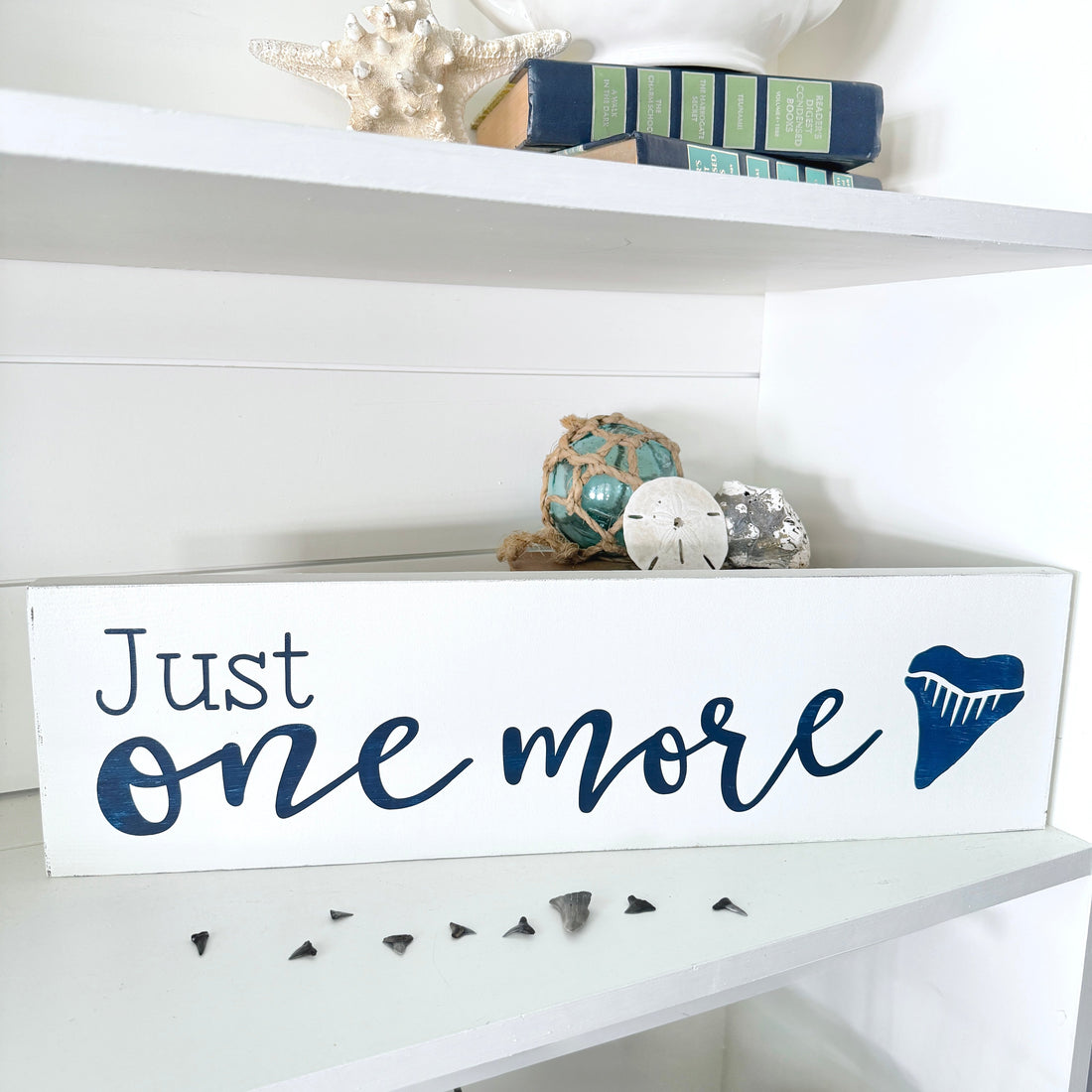 Just one more shark tooth on a shelf with lots of shark teeth and coastal decor