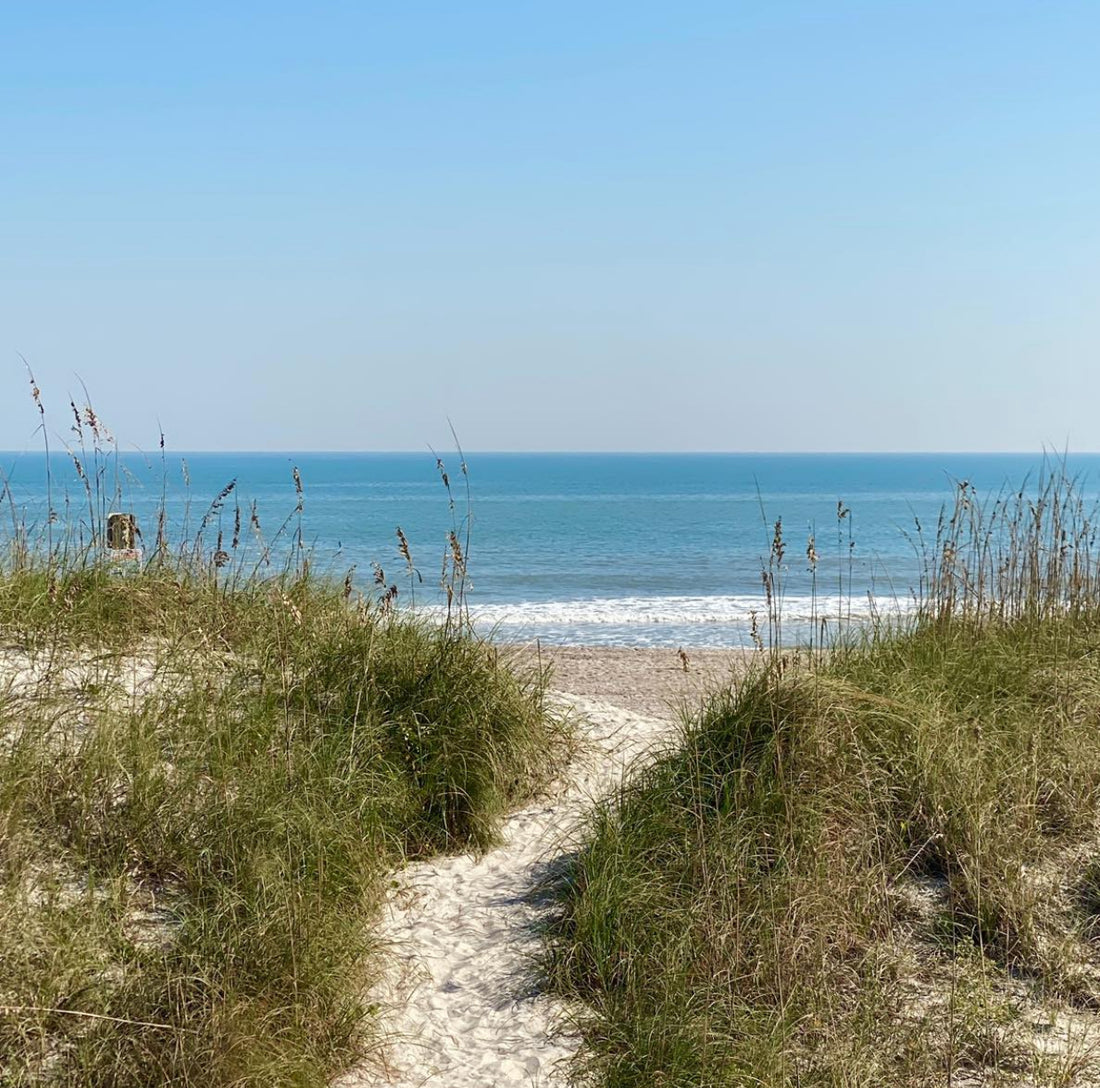 Protecting our oceans with safe beach practices