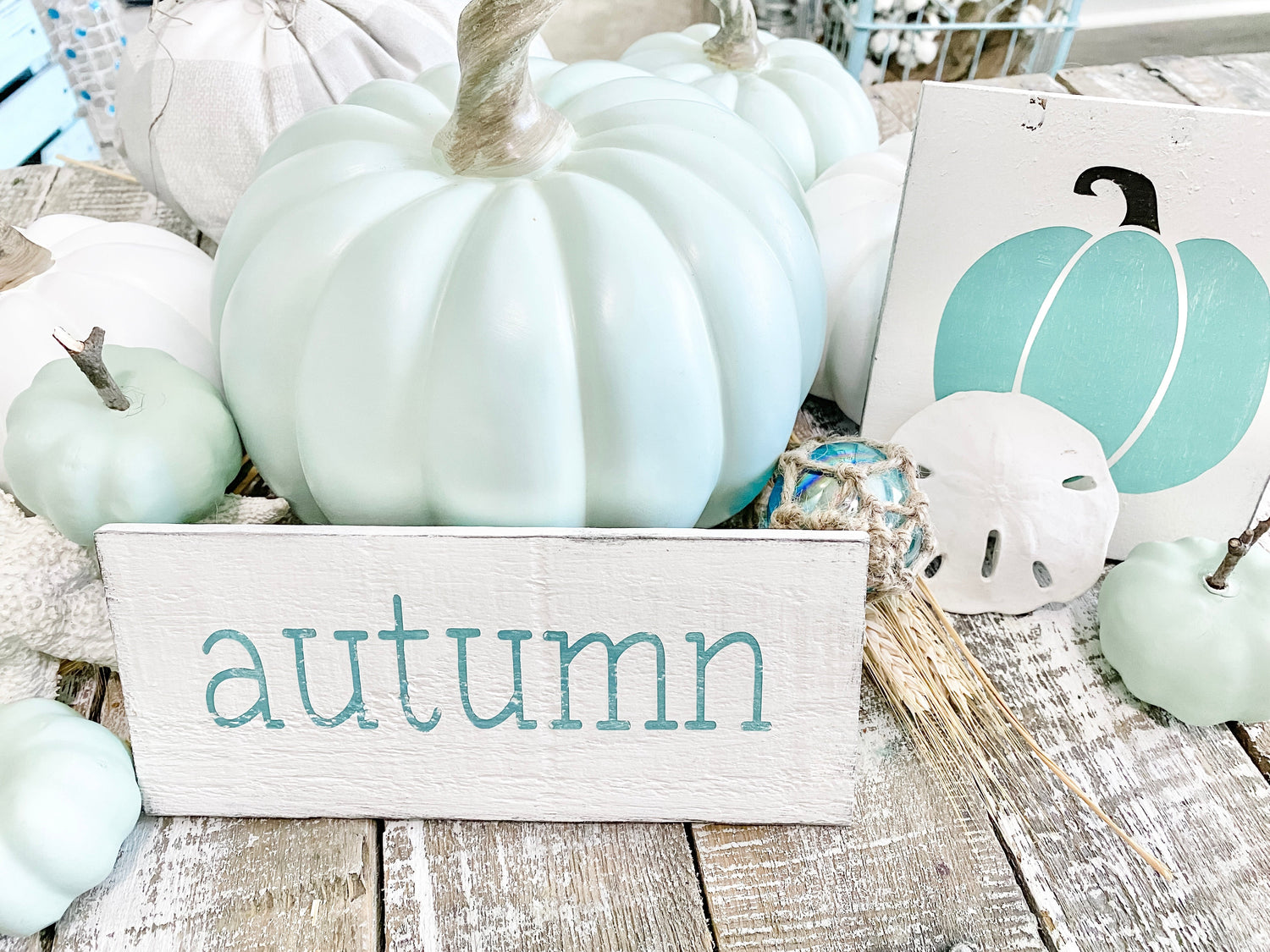 Best Fall Decor for coastal homes, autumn sign and pumpkin surrounded by coastal pumpkins and beach decor