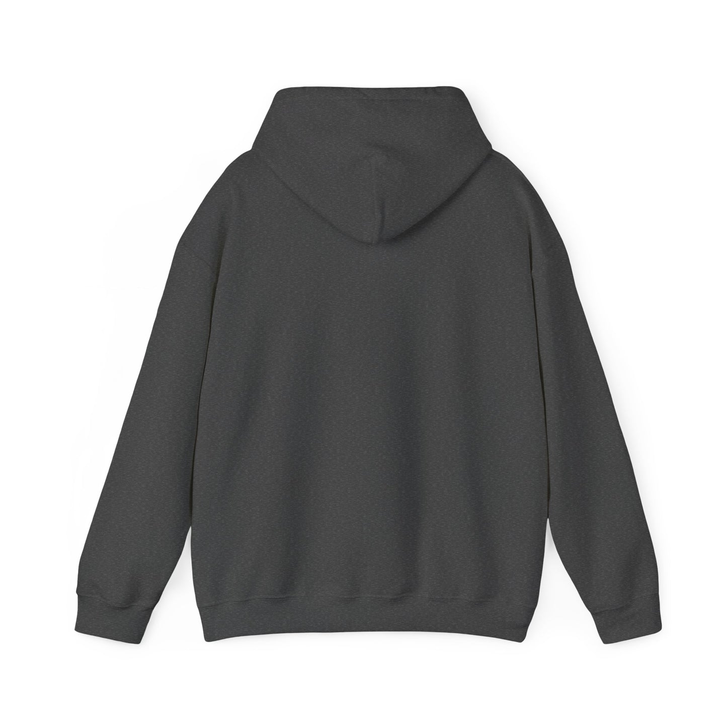 Anchored Hoodie, Anchored Soul Gear, Hebrews 6:19, We have this hope, Unisex Hooded Sweatshirt, Anchor Hoodie, Beach Sweatshirt