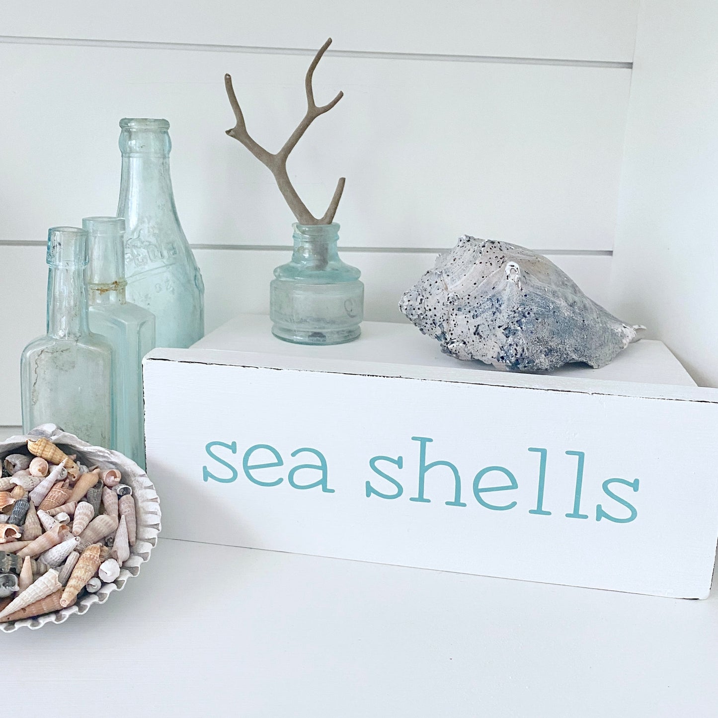 A white decorative sign with the words 'sea shells' in aquae lettering, styled with a gray seashell, small glass bottles, driftwood, and a bowl of assorted seashells on a white surface against a white shiplap wall.