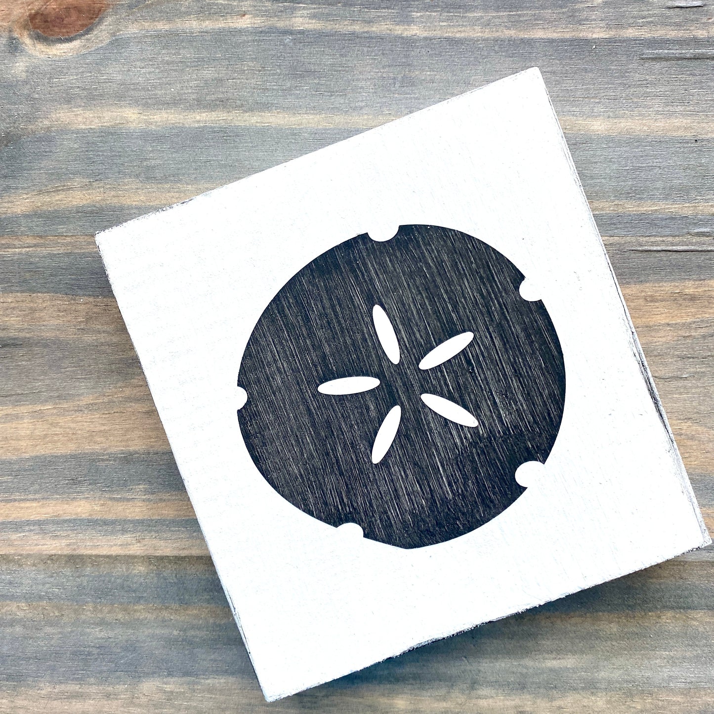 Sand dollar beach sign on wood in black with white background